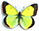 Colias palaeno