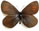 Erebia erynnin