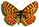 Euphydryas desfontainii