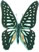 Graphium leechi 