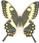 Papilio ophidicephalus 