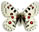 Parnassius nomion