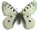 Parnassius (phoebus) sacerdos