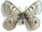 Parnassius acdestis