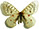 Parnassius clodius 