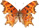 Polygonia oreas 