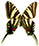 Protographium marcellus