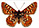 Euphydryas anicia