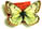 Colias nastes