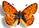 Boloria napaea