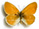 Coenonympha rhodopensis