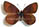 Erebia psathura