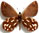 Erebiola butleri 