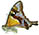 Graphium macleayanus Graphium macleayanus