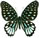 Graphium meeki Graphium meeki