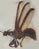 Mantispidae sp -
