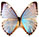 Morpho portis