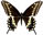 Papilio kahli