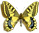 Papilio machaon