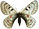 Parnassius labeyriei 