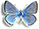 Polyommatus (Meleageria) daphnis