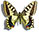 Papilio ladakensis