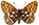 Boloria natazhati